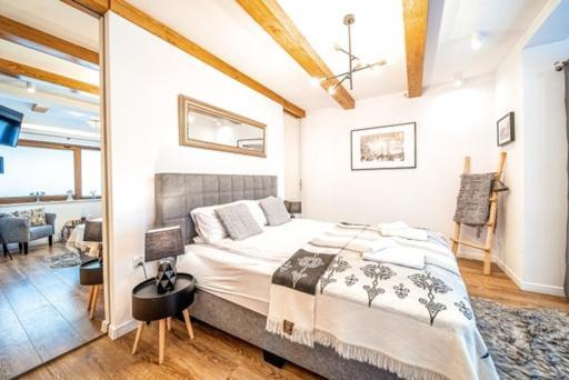 Apartament Kamieniec Zakopane Luaran gambar